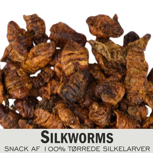 Yamakoshi - Silkworms