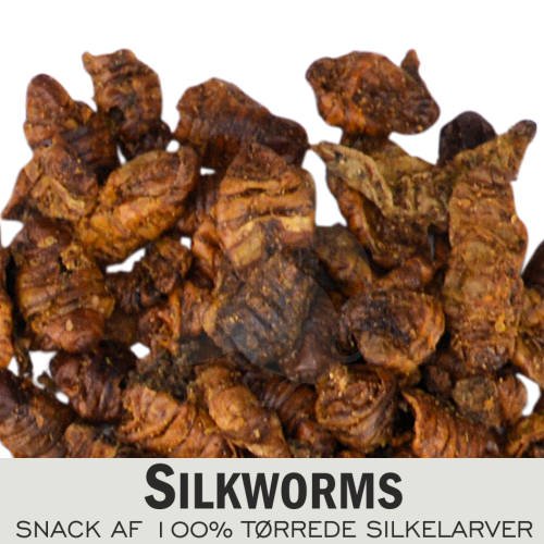 Yamakoshi - Silkworms