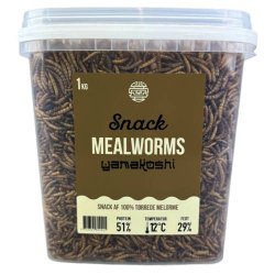Yamakoshi Snack - Mealworms