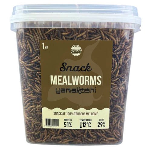 Yamakoshi Snack - Mealworms