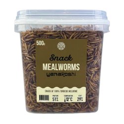 Yamakoshi Snack - Mealworms
