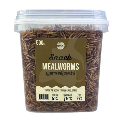 Yamakoshi Snack - Mealworms