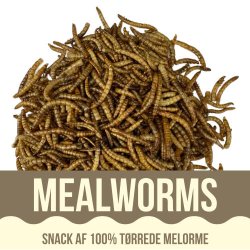 Yamakoshi Snack - Mealworms
