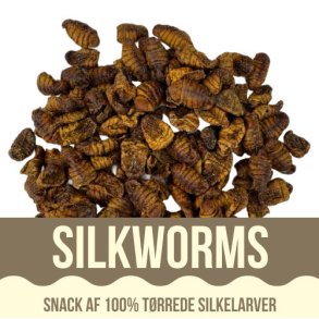 Yamakoshi Snack - Silkworms