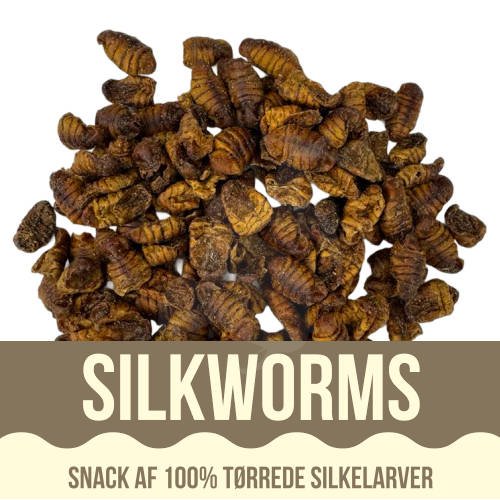 Yamakoshi Snack - Silkworms