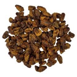 Yamakoshi Snack - Silkworms