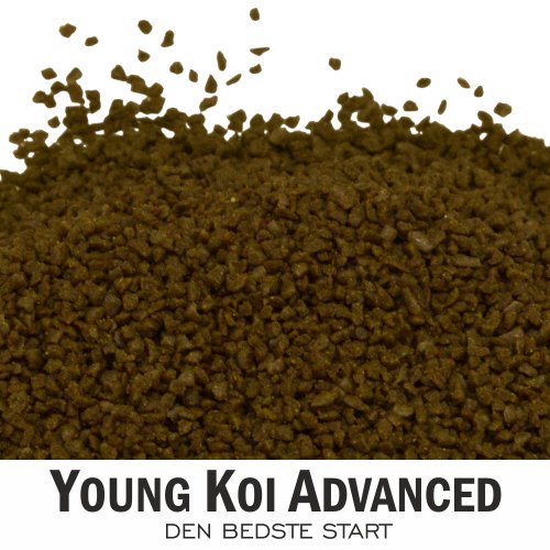 Yamakoshi - Young Koi Advanced
