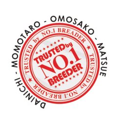 FD Food Color Emphasize - 3kg