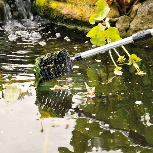 Velda Trdalgebrste med teleskopstang