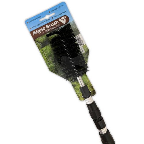 Velda Trdalgebrste med teleskopstang