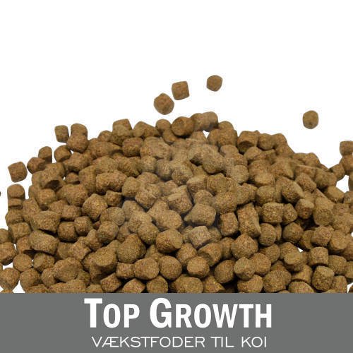 Yamakoshi - Top Growth