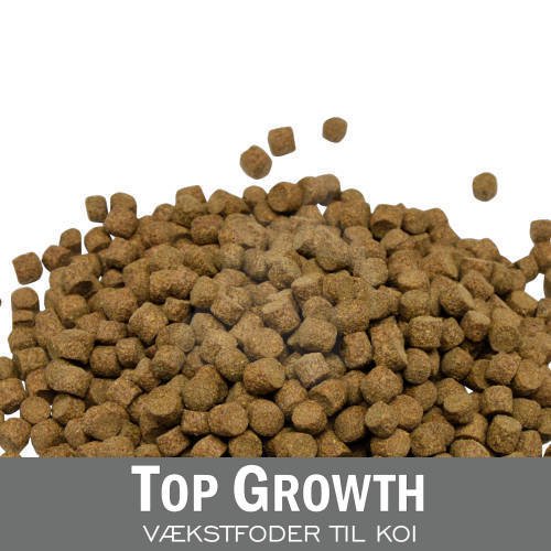 Yamakoshi - Top Growth